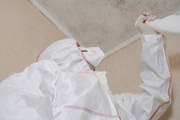 Best Mold Remediation Experts  in Manchester, TN