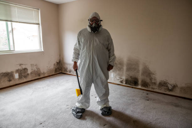 Best Crawl Space Mold Removal  in Manchester, TN